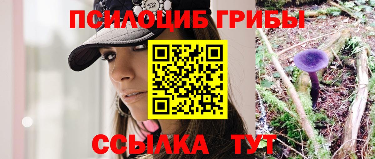 Галлюциногенные грибы мухоморы  Вход с VPN  Вязьма  Псилоцибиновые грибы Psilocybe 
