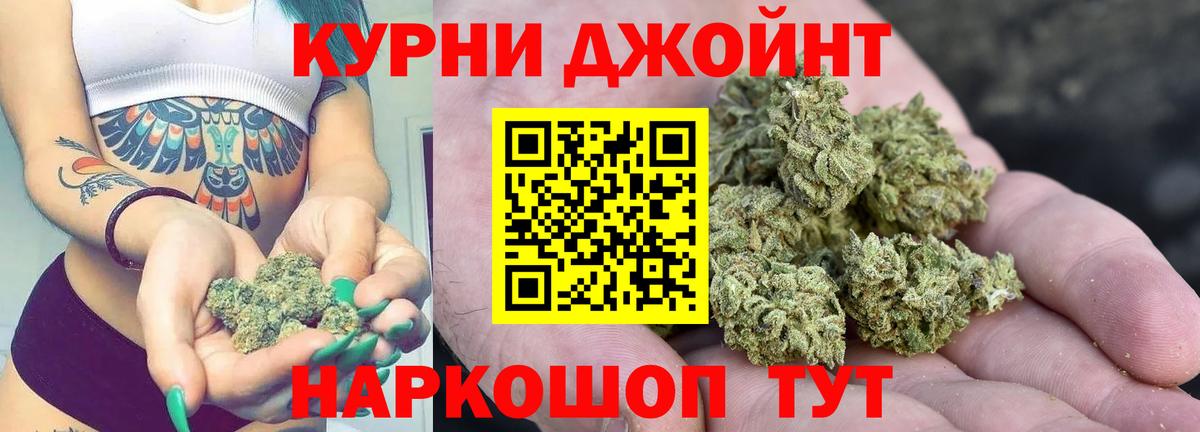 МАРИХУАНА сатива Вязьма